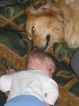 Picture 008