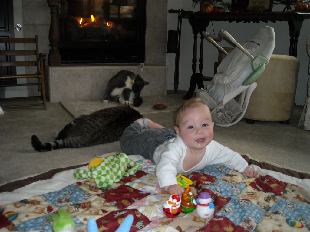 DSCN0234